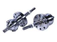 Subsea probes for the Diana installation
