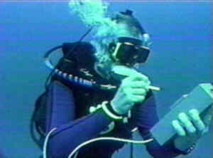 Diver Picture
