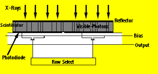 FlatPanel.GIF (6444 bytes)