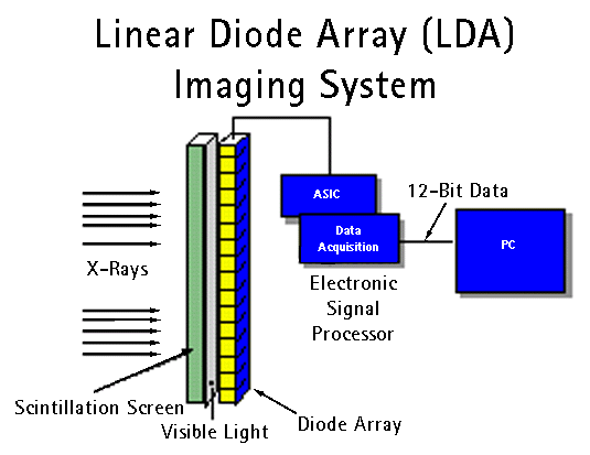 Lda.gif (18522 bytes)